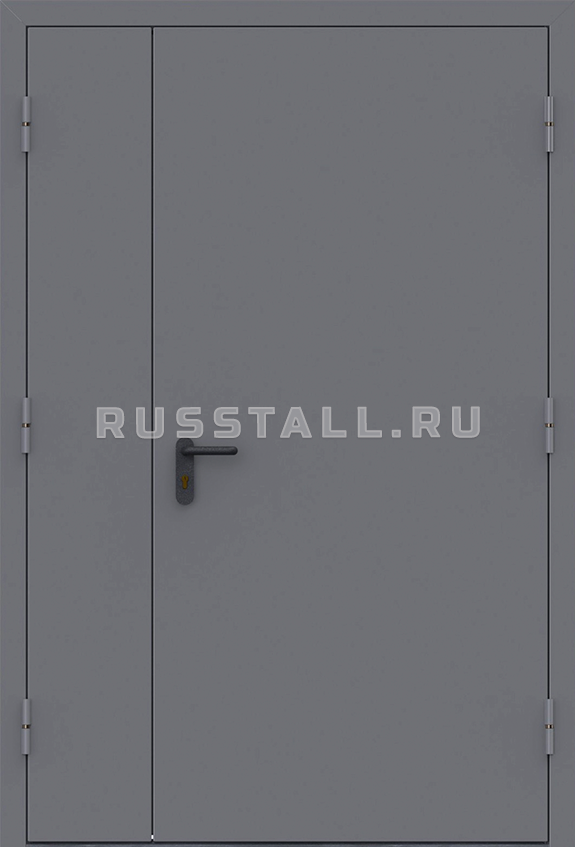 Техническая железная входная дверь RS121